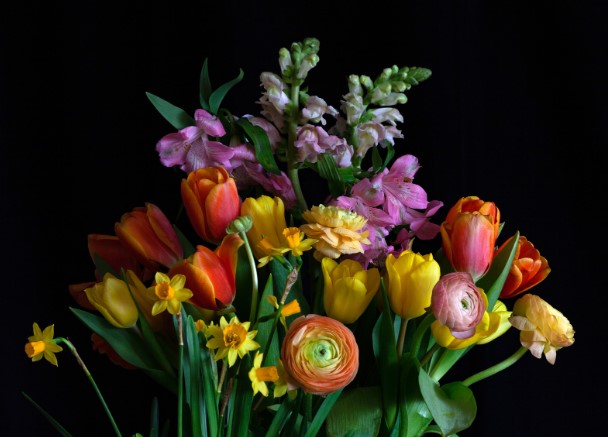 Какие цветы дарить маме?